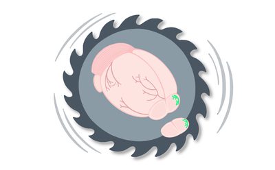 BrainSaw logo: a mouse brain on a circular saw blade
