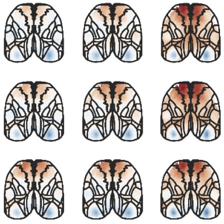 Cortical activity with overlaid brain area borders