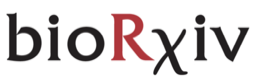 Read the BrainSaw preprint on bioRxiv